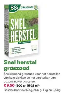 Multi bazar BSi Snel herstel graszaad aanbieding