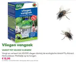Multi bazar Vliegen vangzak aanbieding