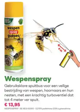 Multi bazar Wespenspray aanbieding