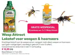 Multi bazar Wasp Attract Lokstof voor wespen & hoornaars aanbieding