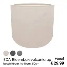 Multi bazar EDA Bloembak volcania up aanbieding
