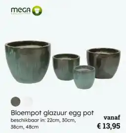 Multi bazar Bloempot glazuur egg pot aanbieding