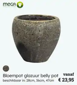 Multi bazar Bloempot glazuur belly pot aanbieding