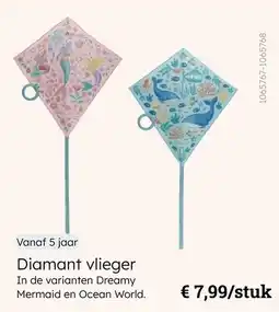 Multi bazar Diamant vlieger aanbieding