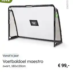 Multi bazar Voetbaldoel maestro aanbieding