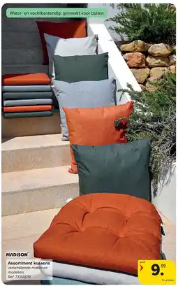 Carrefour Assortiment kussens aanbieding