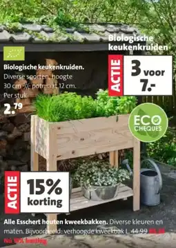Intratuin Biologische keukenkruiden. aanbieding