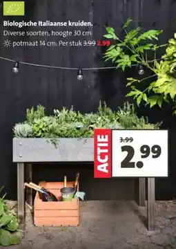 Intratuin Biologische Italiaanse kruiden. aanbieding