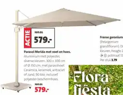 Intratuin Parasol Merida met voet en hoes aanbieding