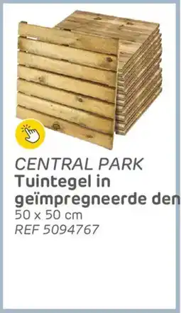 Brico Central park tuintegel in geïmpregneerde den aanbieding