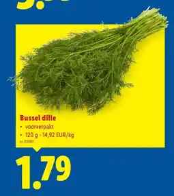 Lidl Bussel dille aanbieding
