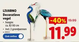 Lidl Decoratieve vogel aanbieding