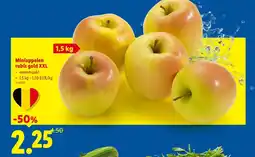 Lidl Miniappelen rubis gold XXL aanbieding
