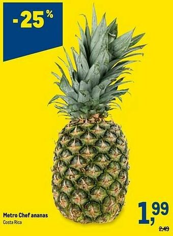 Makro Metro chef ananas aanbieding
