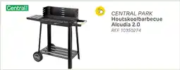 Brico Central Park Houtskoolbarbecue Alcudia 2.0 aanbieding