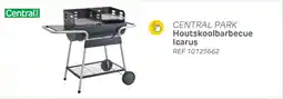 Brico Central Park Houtskoolbarbecue Icarus aanbieding
