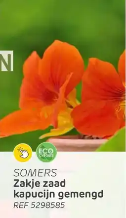 Brico Somers Zakje zaad kapucijn gemengd aanbieding