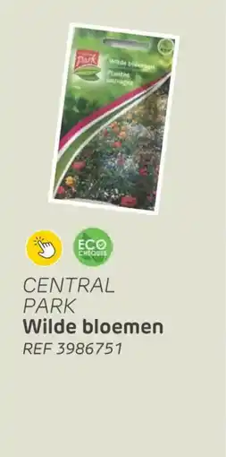 Brico Central Park Wilde bloemen aanbieding