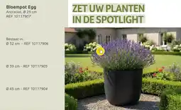 Brico Bloempot Egg aanbieding