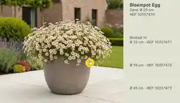 Brico Bloempot Egg aanbieding