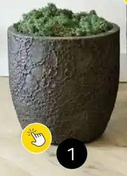 Brico Pot Roxy Egg aanbieding