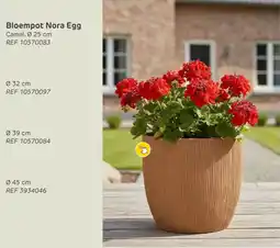 Brico Bloempot Nora Egg aanbieding