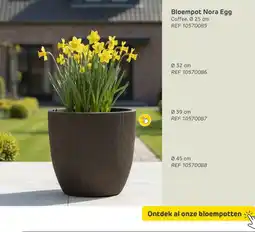 Brico Bloempot Nora Egg aanbieding