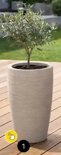 Brico Nature Bloempot Amesbury aanbieding