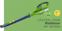 Brico Central Park Bladblazer aanbieding