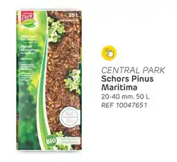 Brico Central Park Schors Pinus Maritima aanbieding