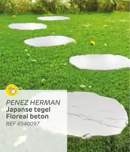 Brico Penez Herman Japanse Tegel Floreal Beton aanbieding