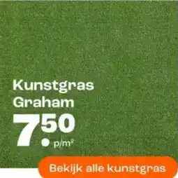 Kwantum Kunstgras Graham aanbieding