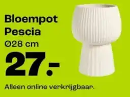 Kwantum Bloempot Pescia aanbieding