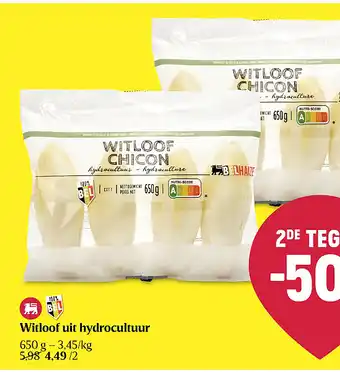 Delhaize Witloof uit hydrocultuur aanbieding