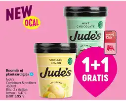 Delhaize Roomijs of plantaardig ijs aanbieding