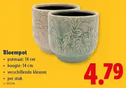 Lidl Bloempot aanbieding