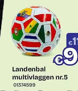 Dreamland Landenbal multivlaggen nr.5 aanbieding