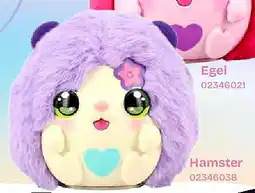 Dreamland Hamster aanbieding