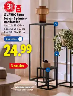 Lidl Livarno home Set van 3 Plantenstandaarden aanbieding