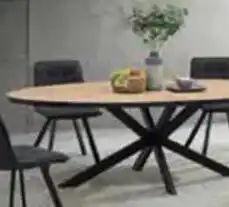 Budget Meubelen Tafel Ovaal aanbieding