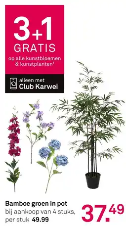 Karwei Bamboe Groen in Pot aanbieding