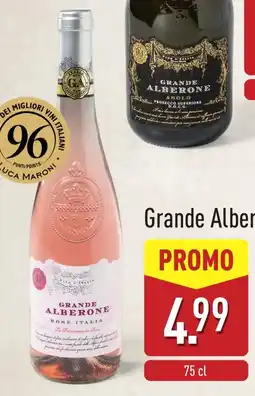 ALDI Grande Alberone rose aanbieding