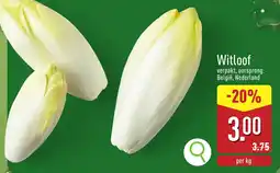 ALDI Witloof aanbieding