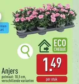 ALDI Anjers aanbieding