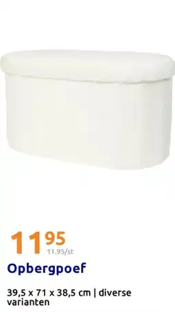 Action Opbergpoef aanbieding