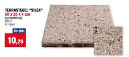Hubo Terrastegel silex aanbieding