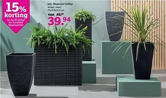 Bloempot dallas
