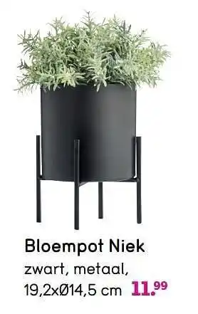 Leen Bakker Bloempot niek aanbieding