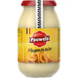 Albert Heijn Pauwels Mayon(n)aise traditioneel bel aanbieding