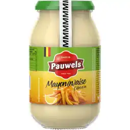 Albert Heijn Pauwels Mayon(n)aise citro(e)n extra limoen bel aanbieding